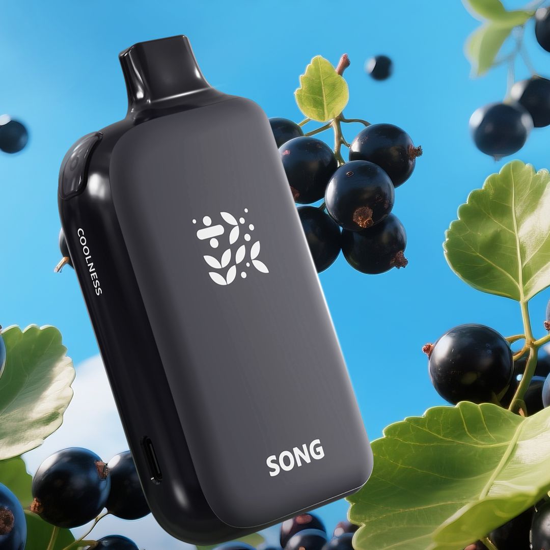 SONG崧A38冰果系列17000口黑加仑