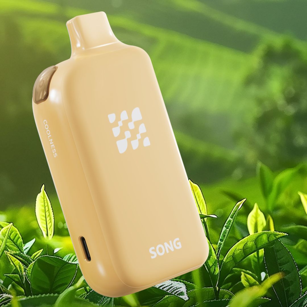 SONG崧A38冰果系列17000口龙井茶