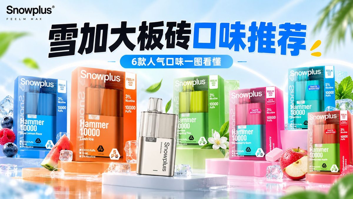 雪加大板砖口味推荐